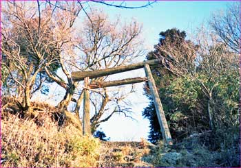 愛鷹山鳥居