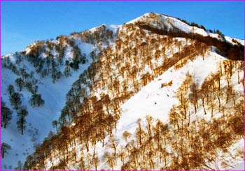 棒立山