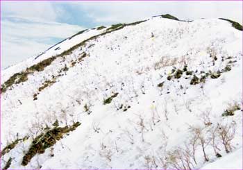 烏帽子岳