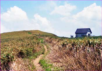 丹後山避難小屋