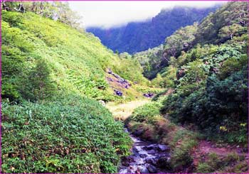 松川温泉への下山道