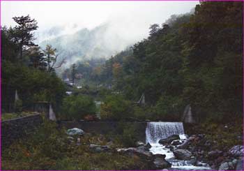 大樺沢