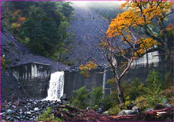 大樺沢