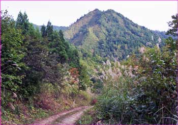 登山口へ林道を