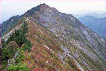 湯沢の頭望む