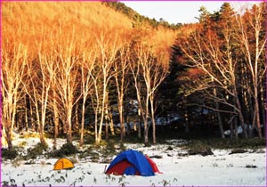 池山小屋幕営地