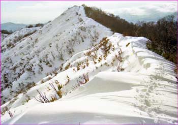 雪尾根を辿る