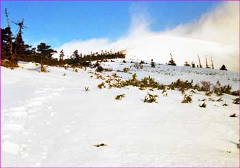 平標山望む