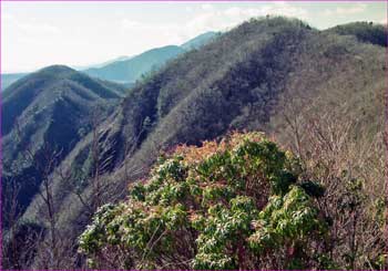 五湖山方面