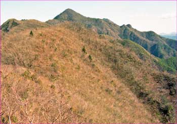 鬼ガ岳方面