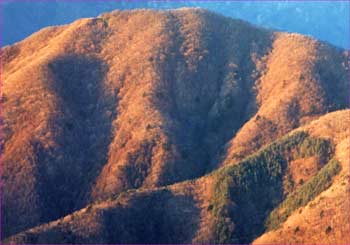 精進湖の山