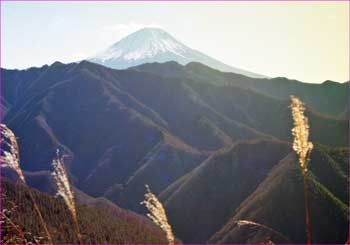 富士山