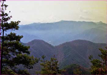 富士山