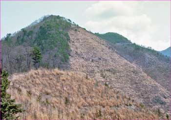 甲州高尾山