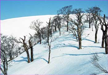 能郷白山へ