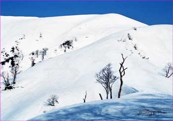 残雪の能郷白山