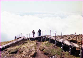 大山下山