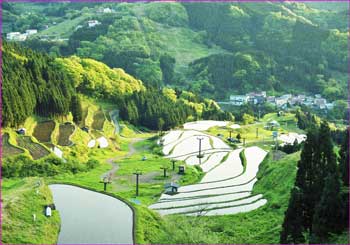 初夏の景