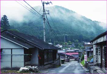 坪内から山へ