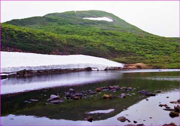 焼石岳泉水沼