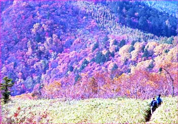 飯縄山