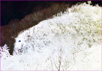 雪尾根にテント