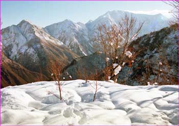 雪明けの駒ヶ岳展望