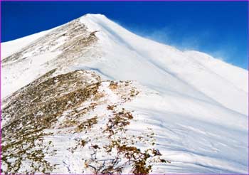 爺ヶ岳南峰