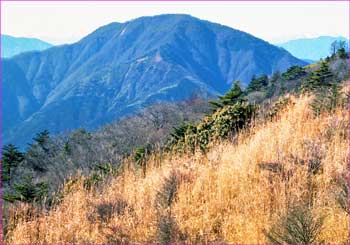 大室山