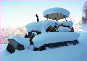 雪明けの重機