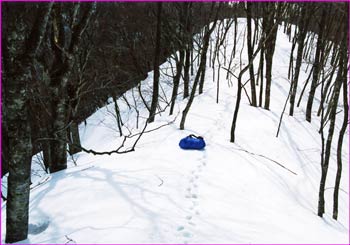 雪尾根で