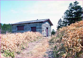 笹平避難小屋