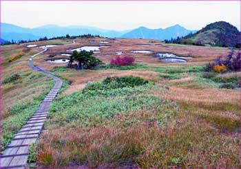 苗場山秋景