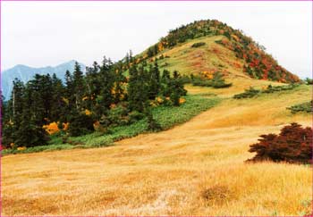 苗場山秋模様