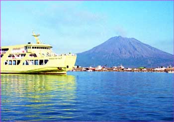 桜島望む