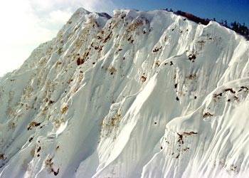 爺ヶ岳雪襞