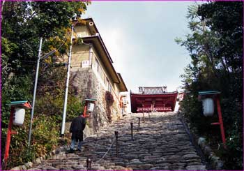 高台の神社