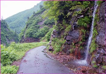 登山口へ