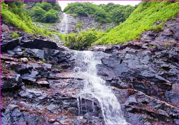 魚止めの滝