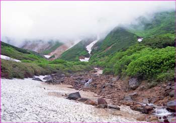 上富良野岳へ