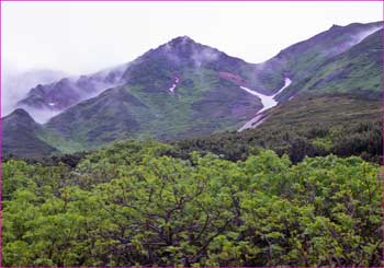 上富良野