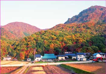 湯ノ花たそがれ