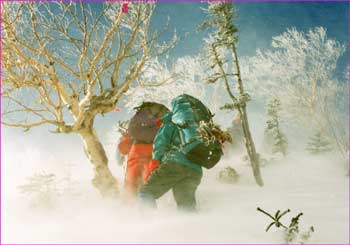 吹雪の登行