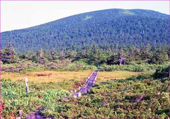 東吾妻山