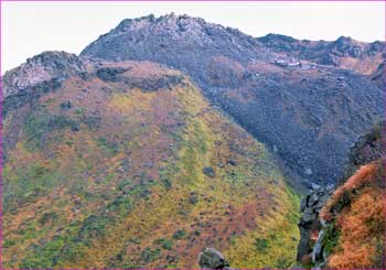 鳥海山へ