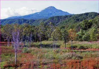 秋の鳥海山