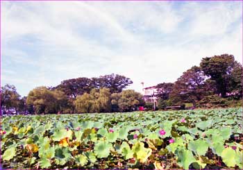 千秋公園