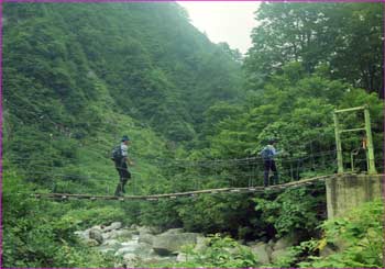 吊橋