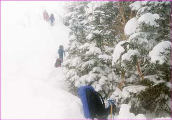 中崎尾根下山へ