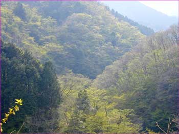 峠の景